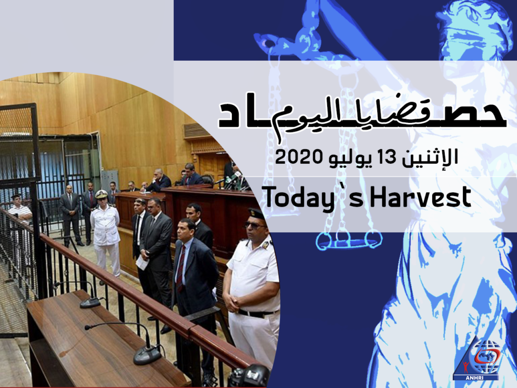 Today’s Harvest   Monday, 13 July 2020 